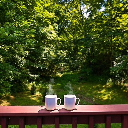 Smoky Mountains Hut Tub Cabin Dog Friendly เซอเวียร์วีล ภายนอก รูปภาพ