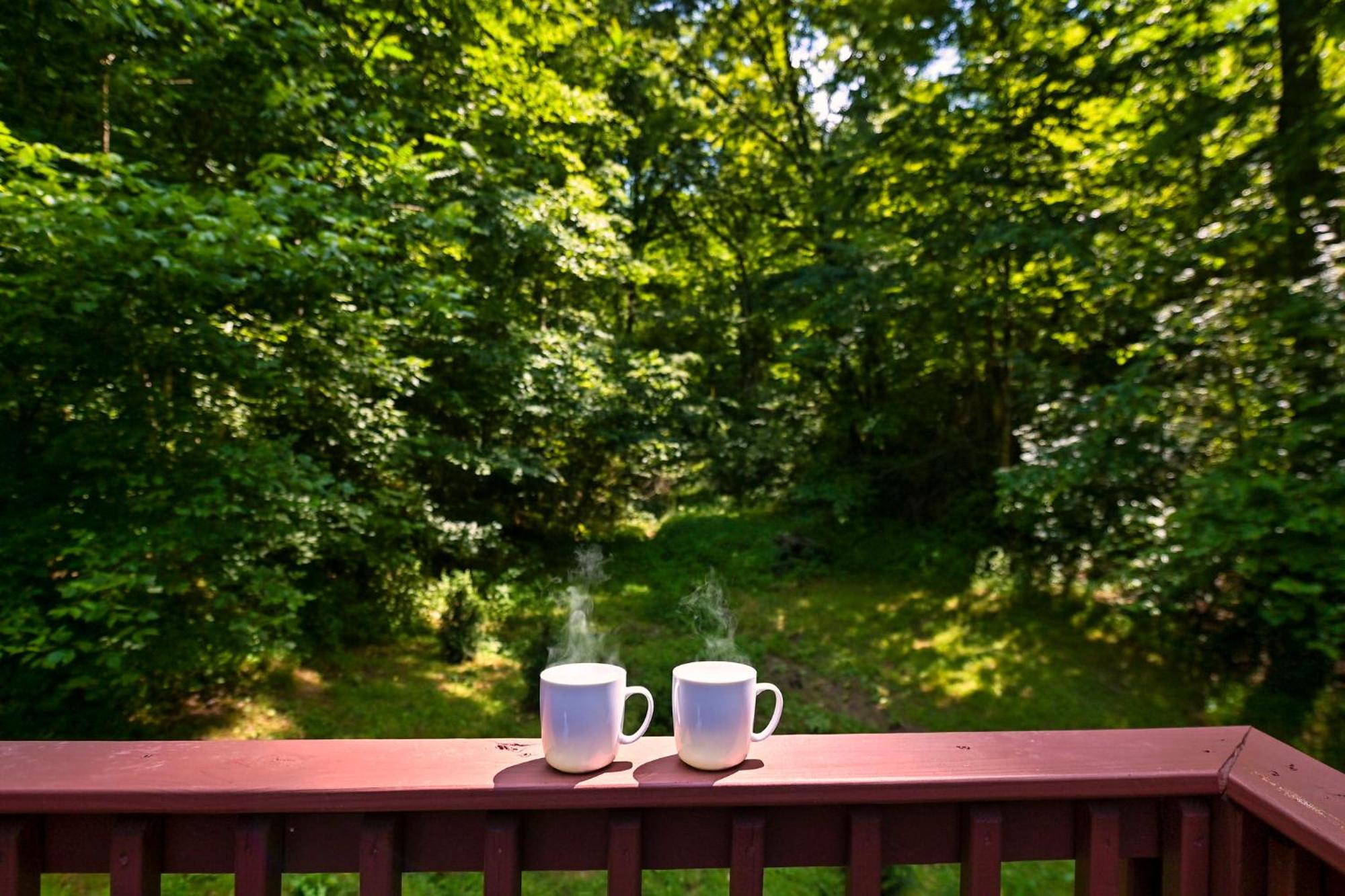 Smoky Mountains Hut Tub Cabin Dog Friendly เซอเวียร์วีล ภายนอก รูปภาพ
